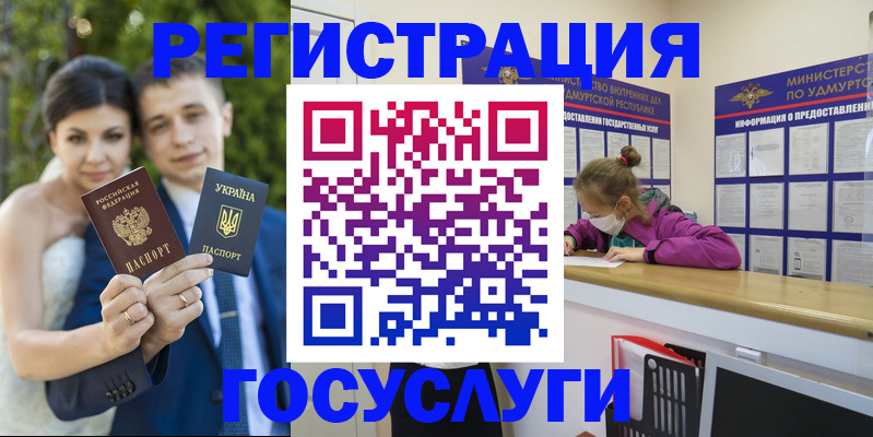 прописка поиск в Ельне