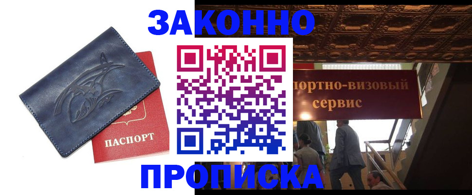 прописка поиск в Ельне